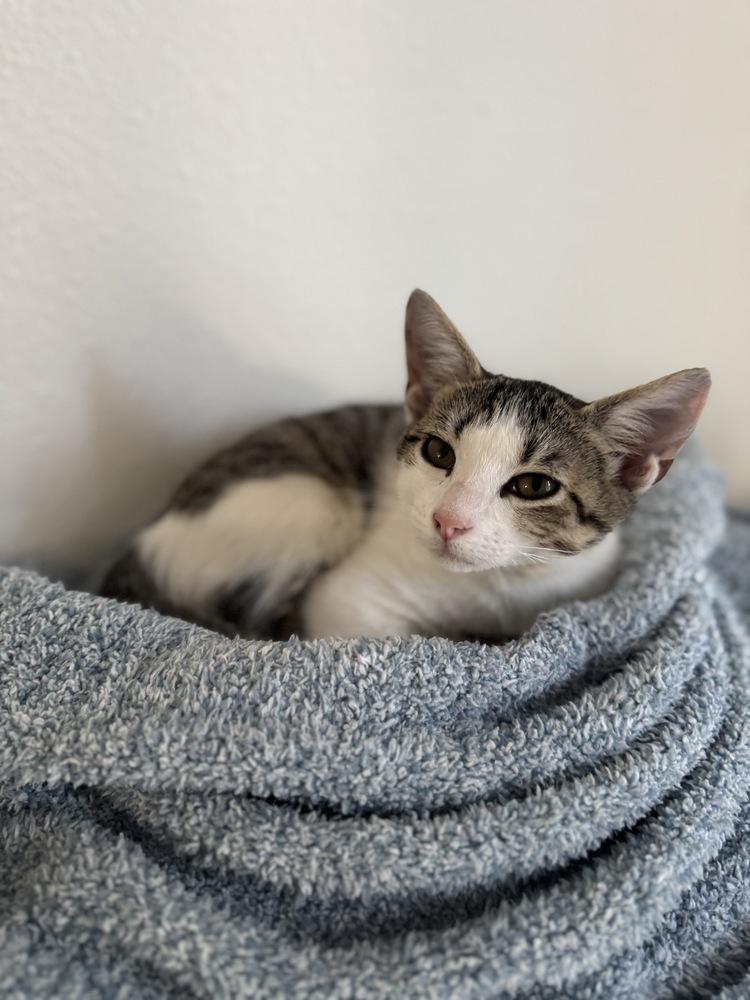 Boo Solis — thumbnail 6