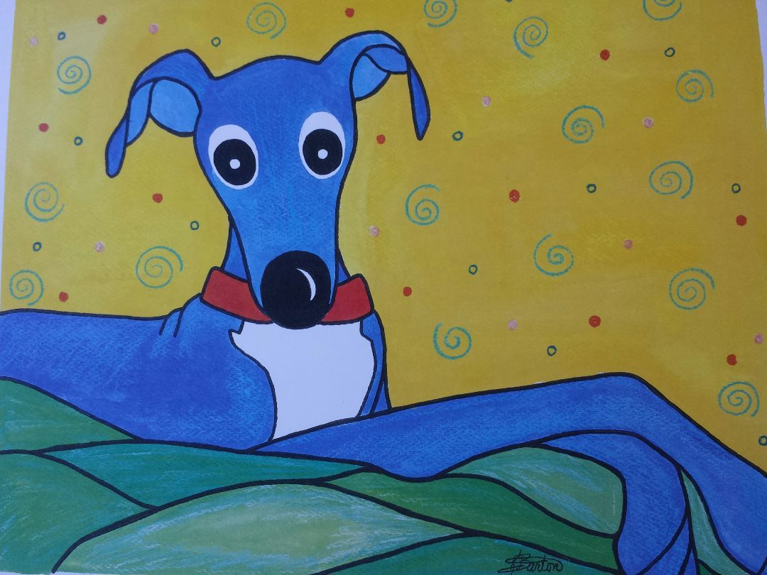 Currently we have no dogs available! Please check back!, adoptable, Adult Male Italian Greyhound.