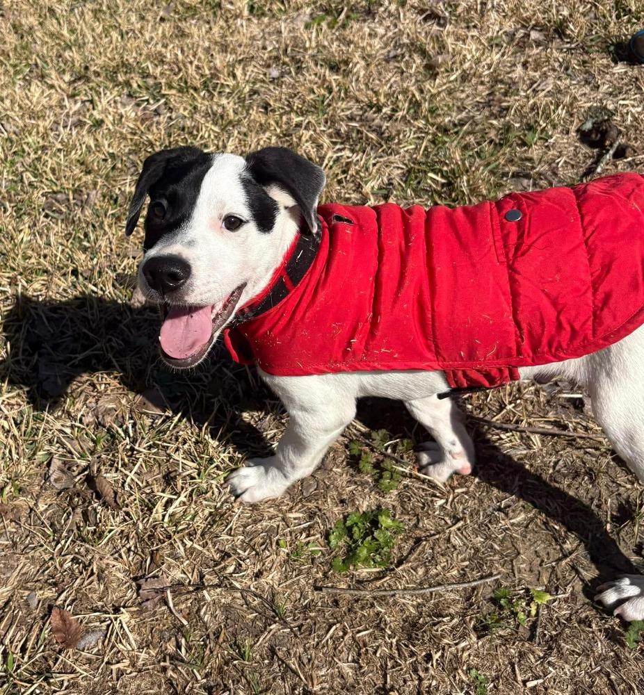 Steve — thumbnail 2