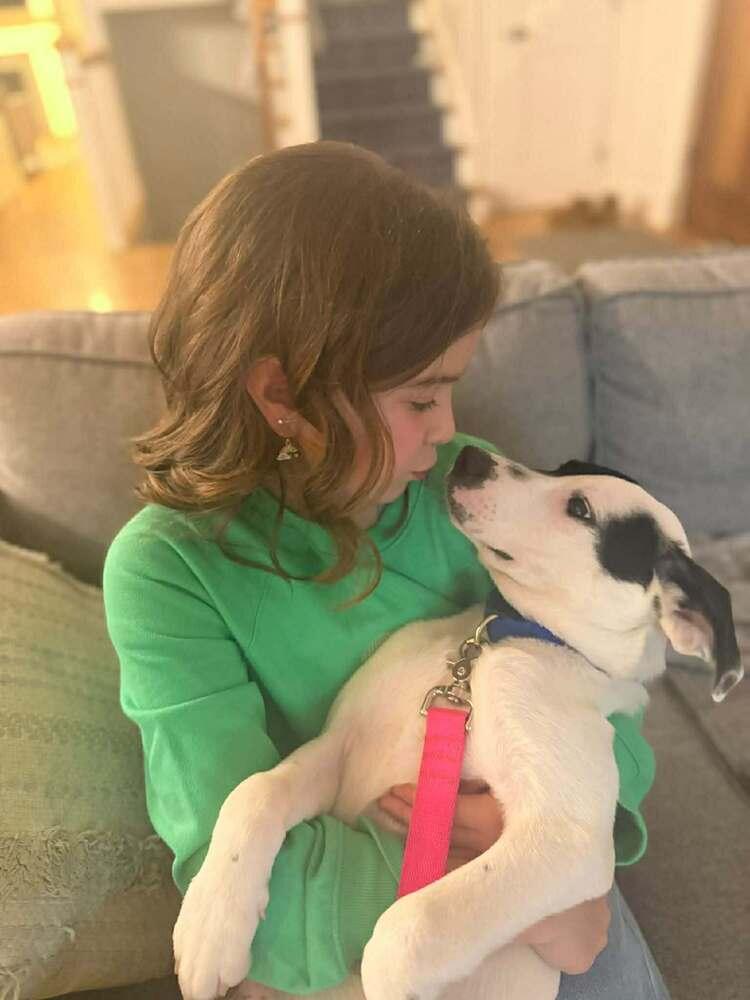 Steve — thumbnail 6