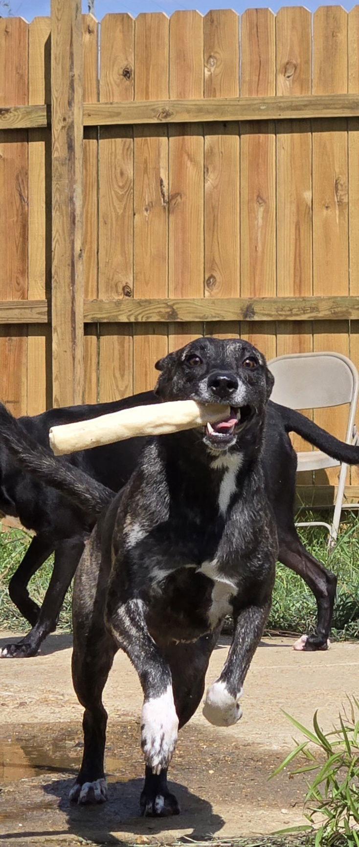 Sansa — thumbnail 2