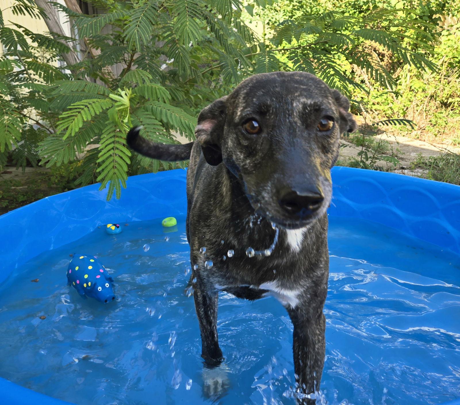 Sansa — thumbnail 3