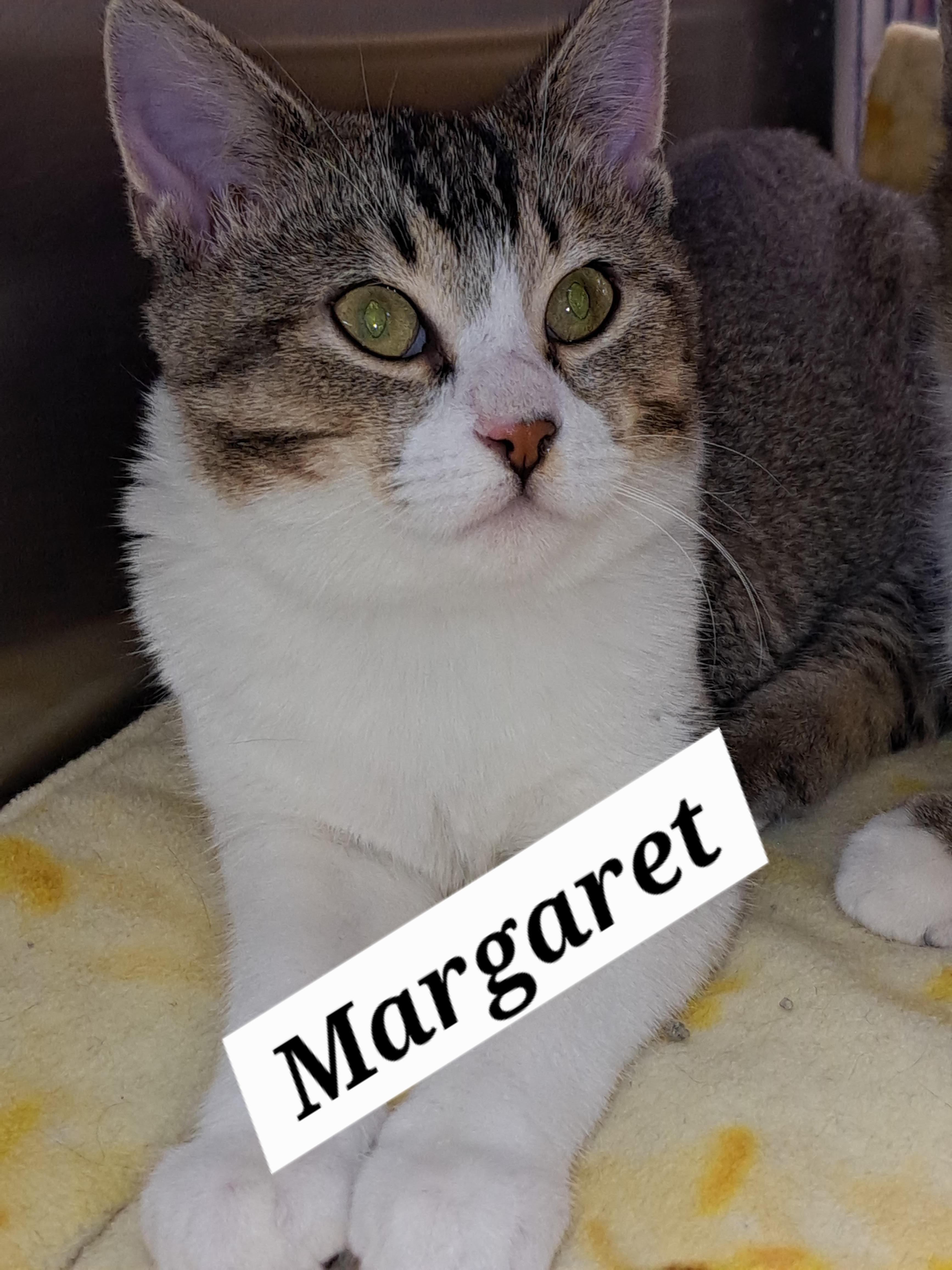 Margaretc thumbnail 2