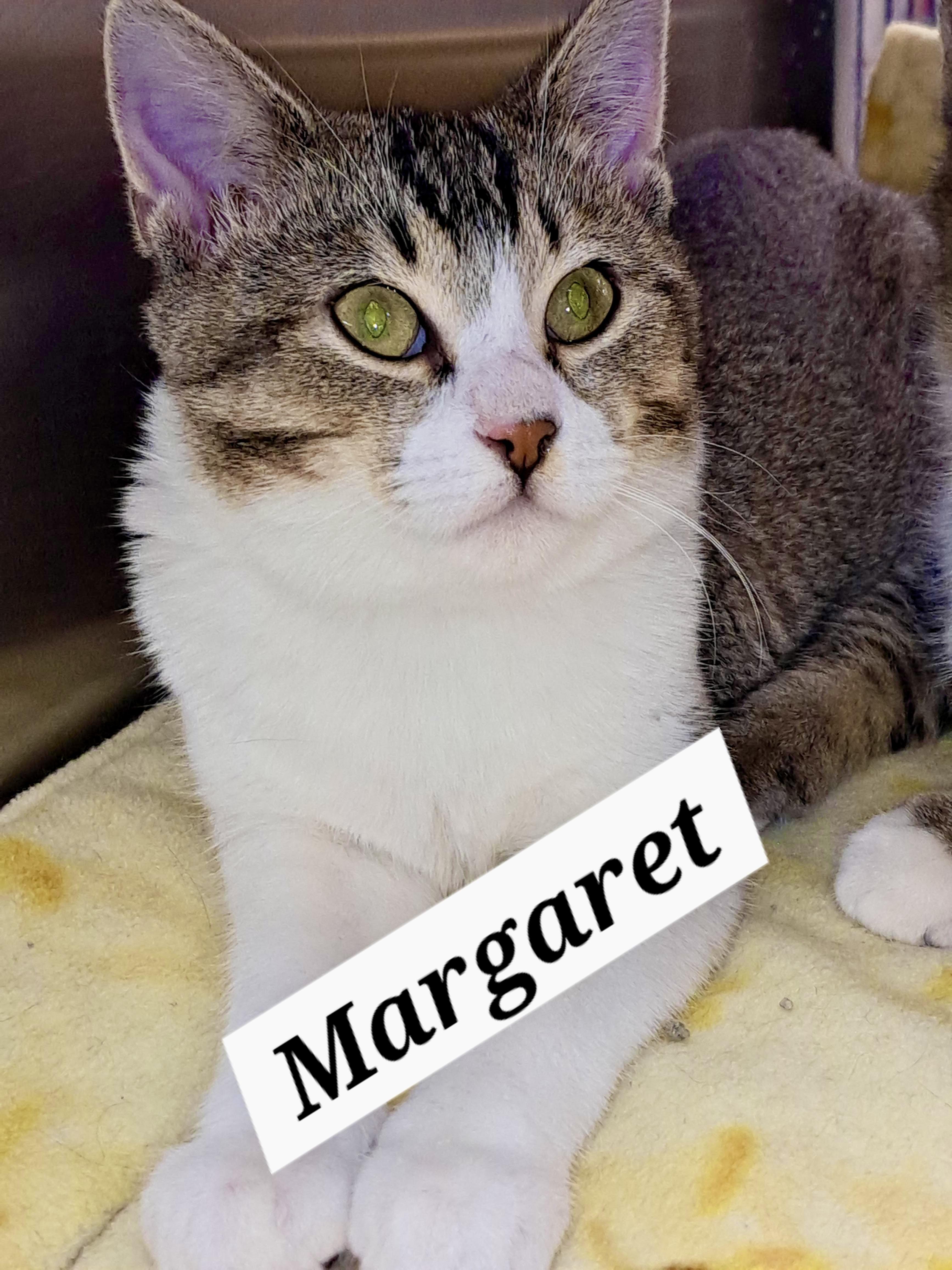 Margaretc