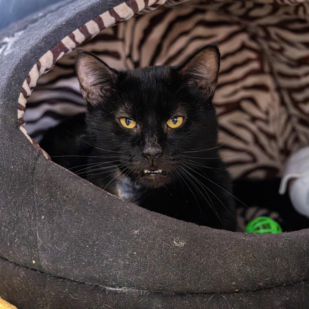 Kenya — thumbnail 2