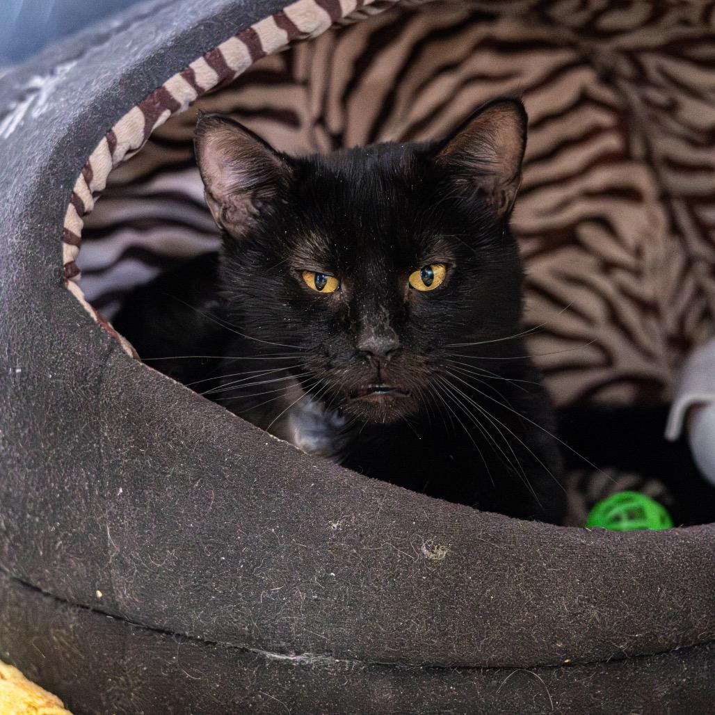 Kenya — thumbnail 3