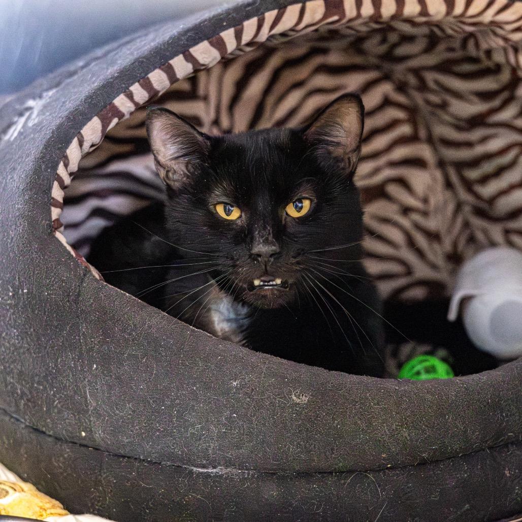 Kenya — thumbnail 4