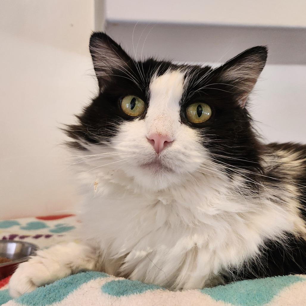 Vanessa — thumbnail 4