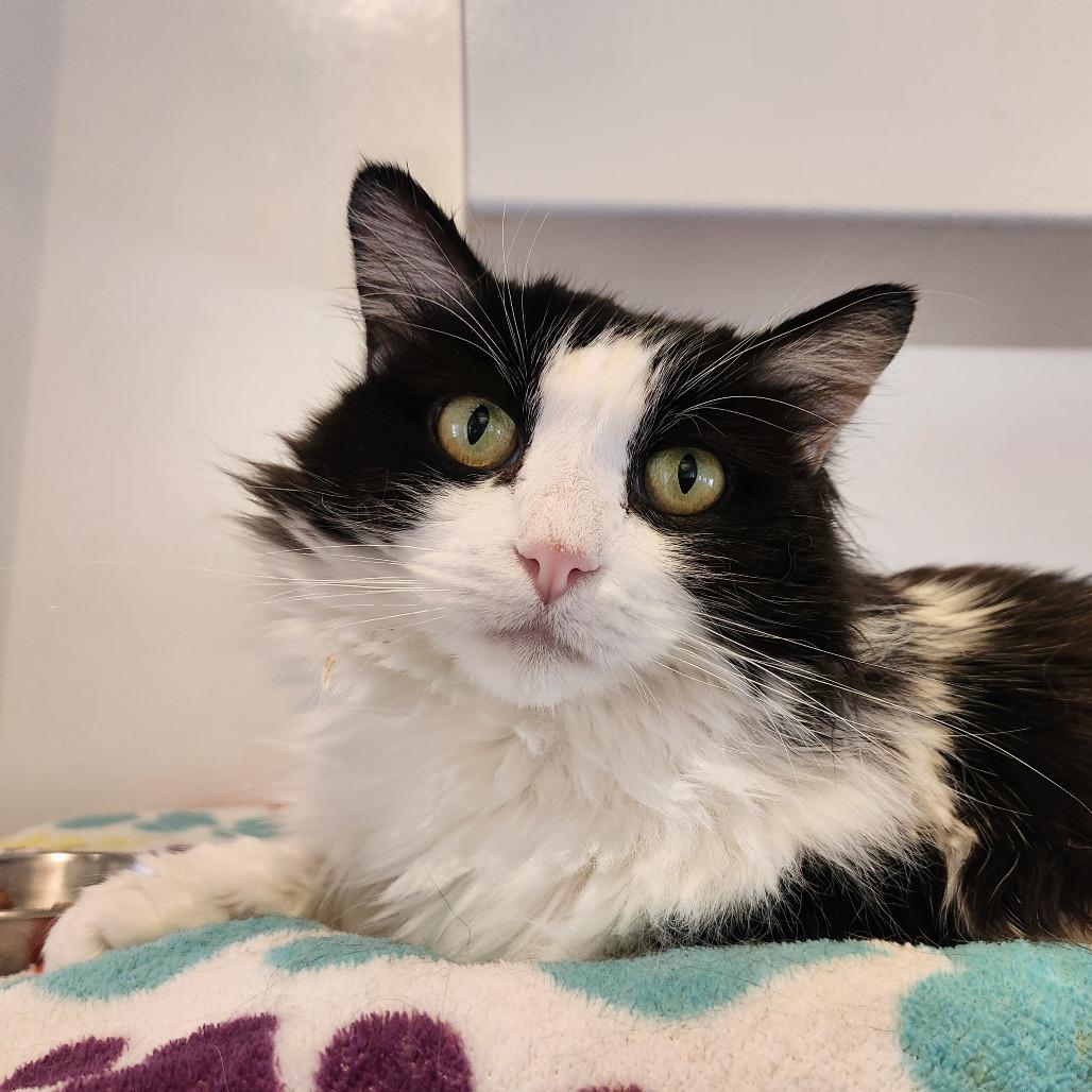 Vanessa — thumbnail 5