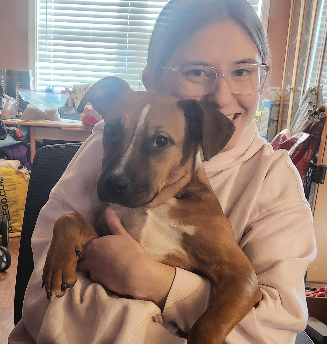 Enlarge Sami Jo, a ADOPTABLE Mixed Breed in Schaumburg, IL image 3/4