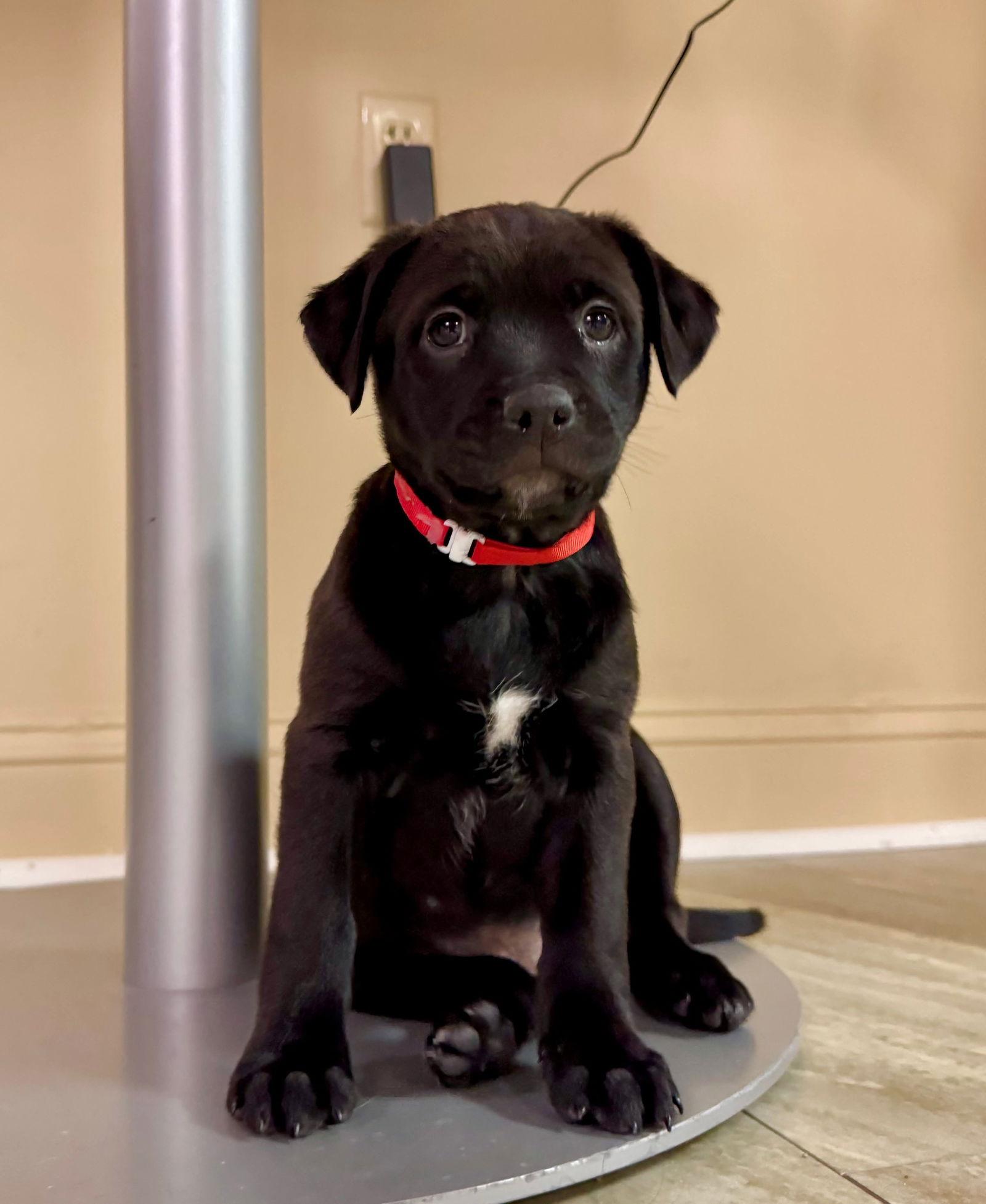 Tart N Tiny thumbnail 3