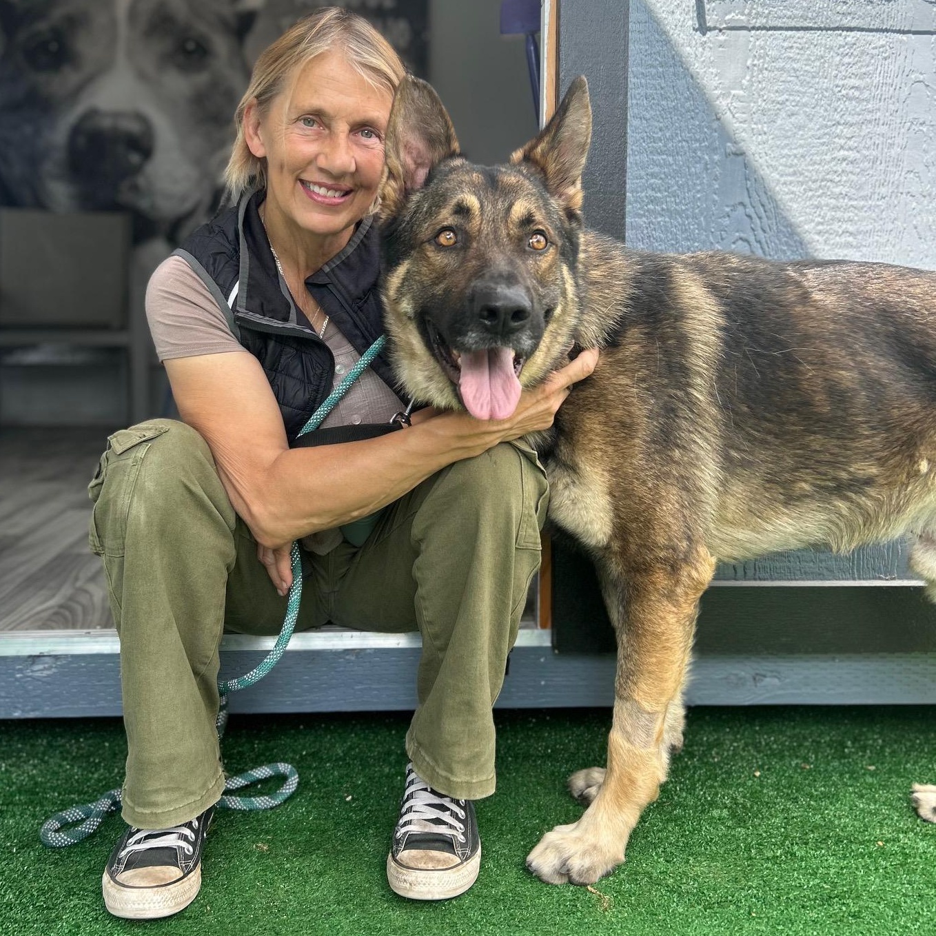 Enlarge Rocky, a Adoptable German Shepherd Dog in Burbank, CA image 4/6