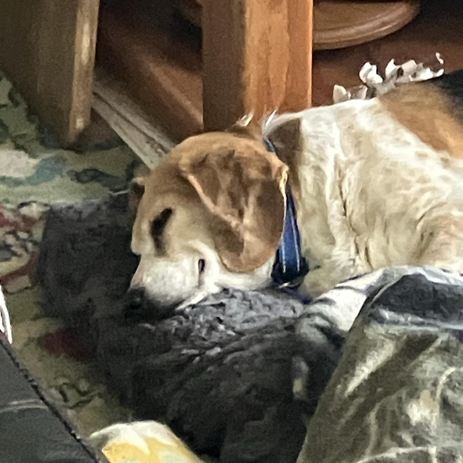 Peanut