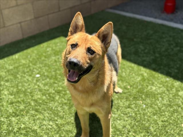 SAVE ME PLEASE! CLINTON - ID#A543558