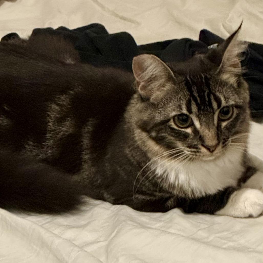 Prudence — thumbnail 2