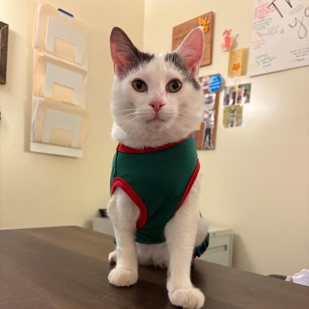 Grayson — thumbnail 2