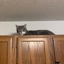 Boots C67978 — thumbnail 3