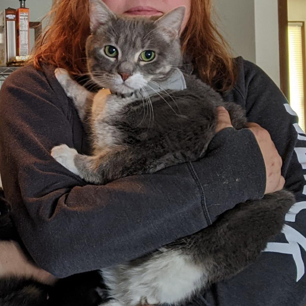 Boots C67978 — thumbnail 4