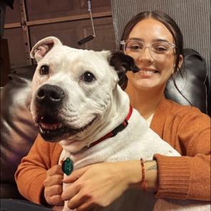 Enlarge Cody, a Adoptable Pit Bull Terrier in Kittanning, PA image 2/2