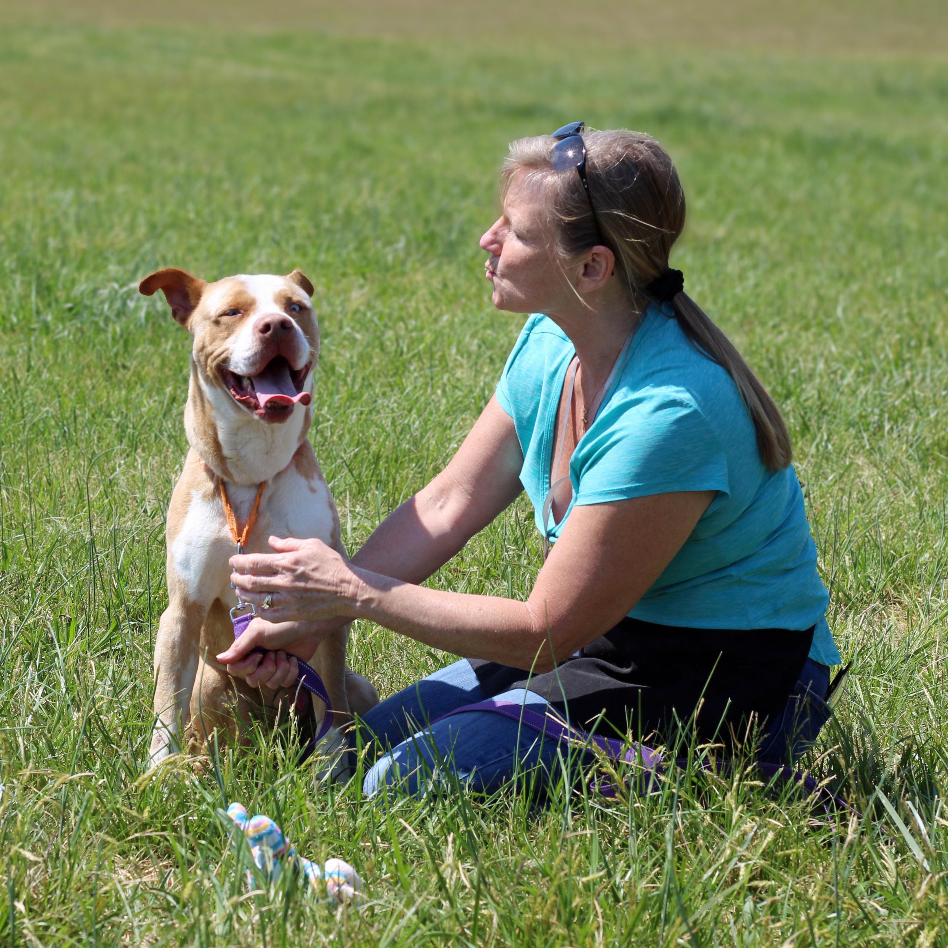 Enlarge Noodle, a ADOPTABLE mixed breed in Lebanon, TN image 4/5