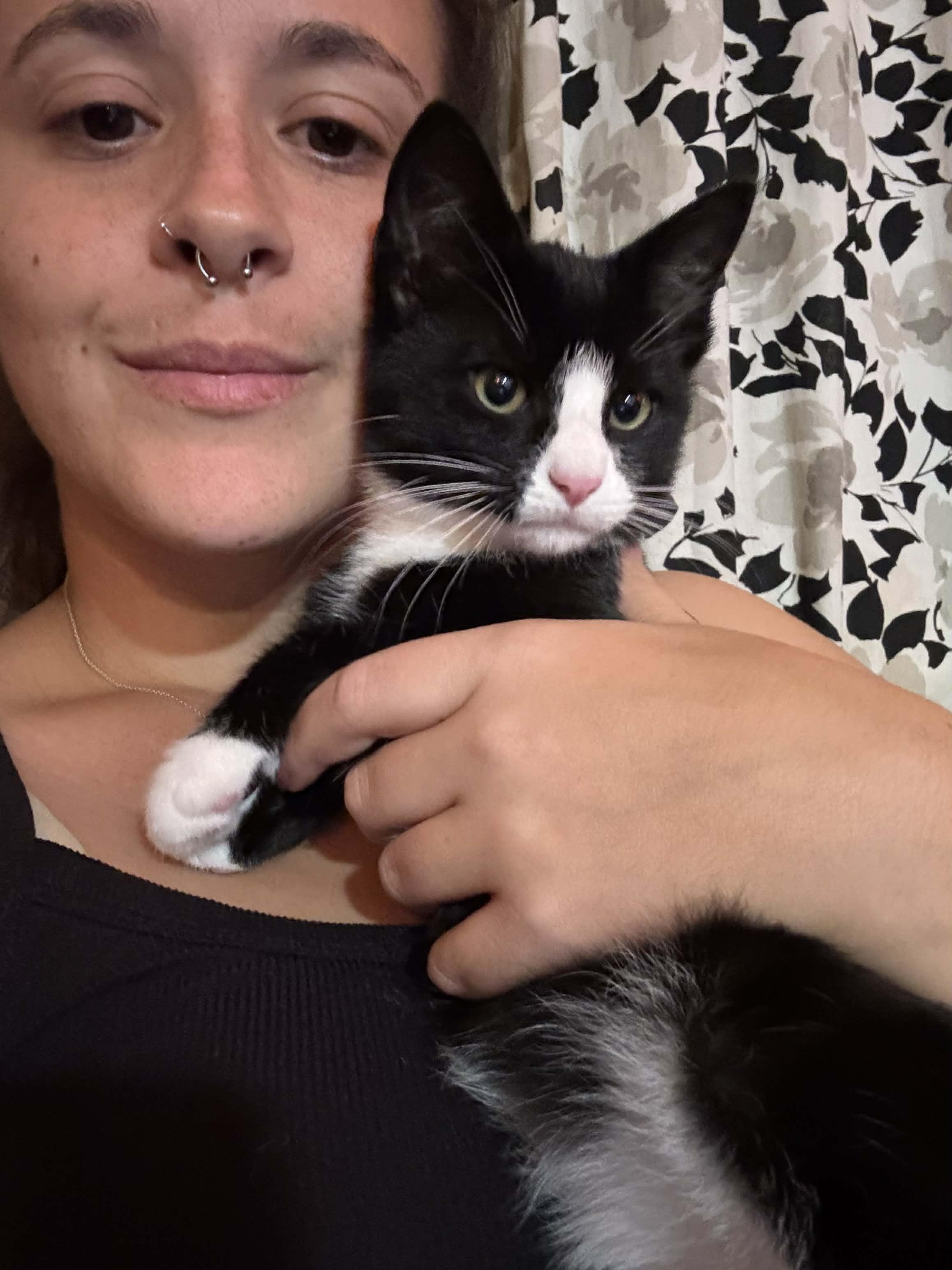 Enlarge Bloom, a Adopted mixed breed in Chelsea, VT image 2/2