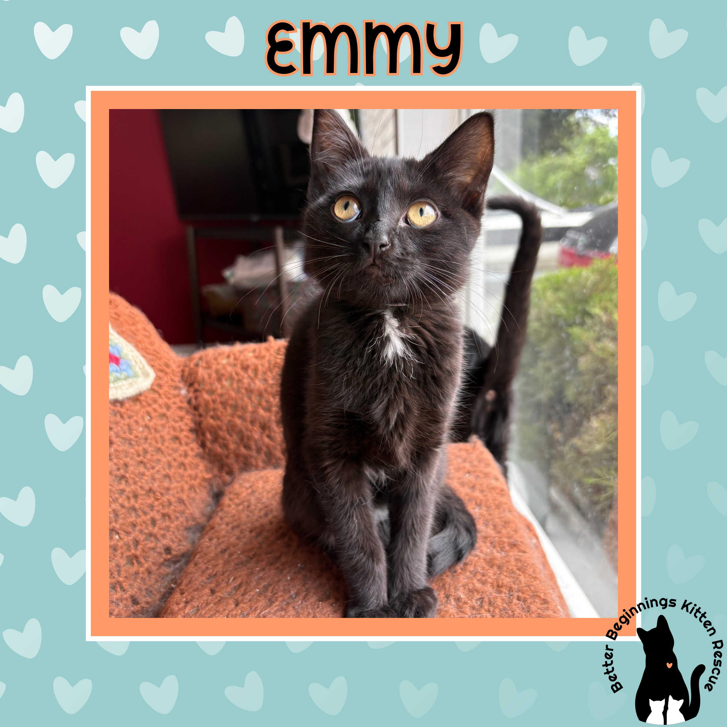 Emmy, a Adoptable mixed breed in Kamloops, BC image 6/6