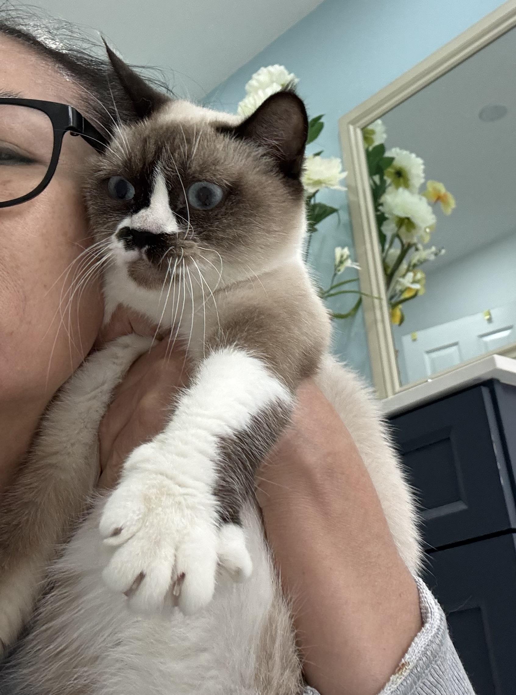 Peanut