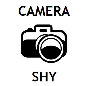 Enlarge Cheez-It, a Adoptable Domestic Short Hair in Danville, KY image 1/1