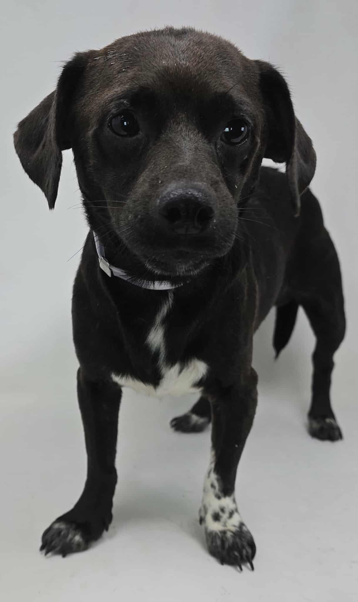 Cake Batter thumbnail 3