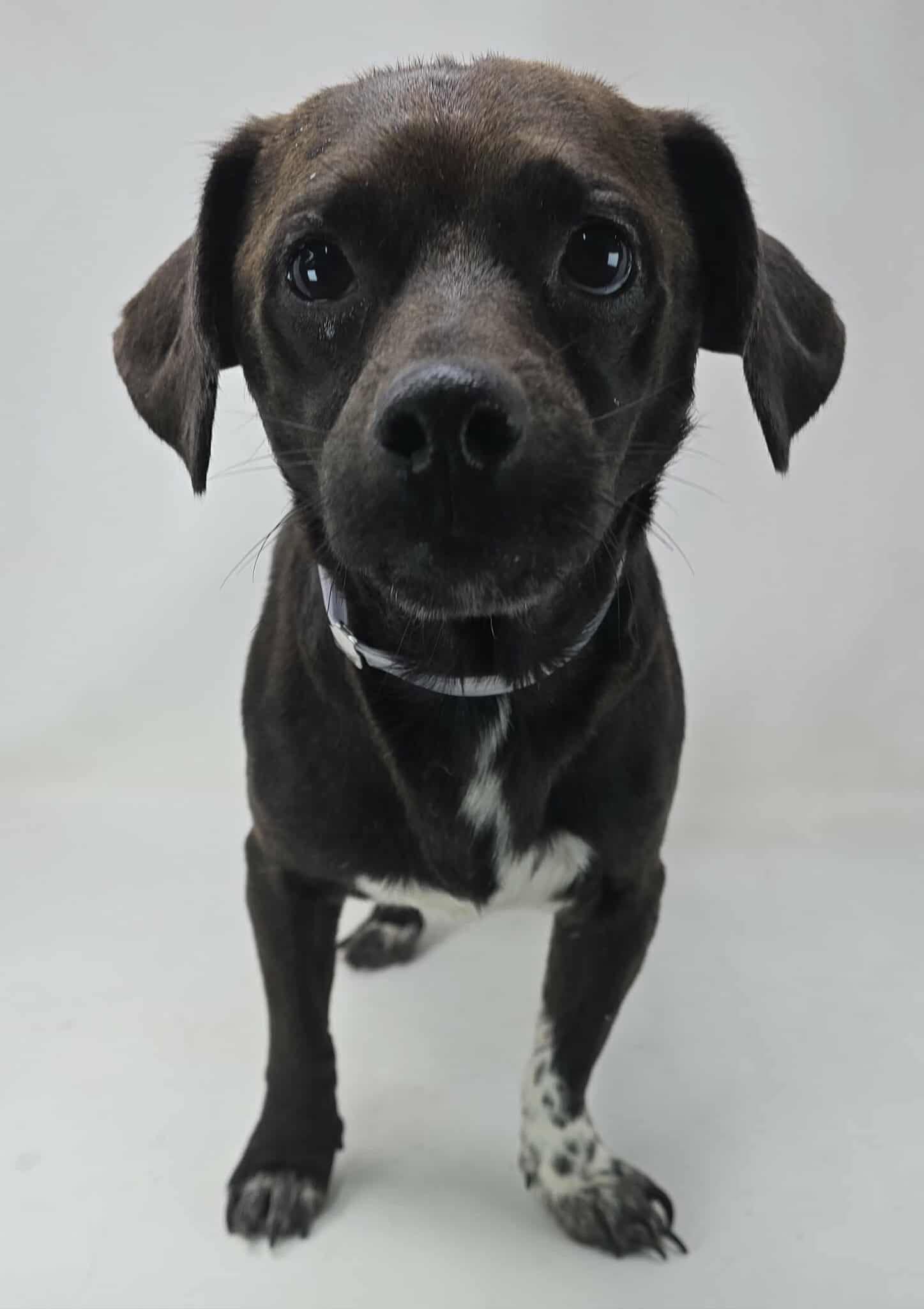 Cake Batter thumbnail 4