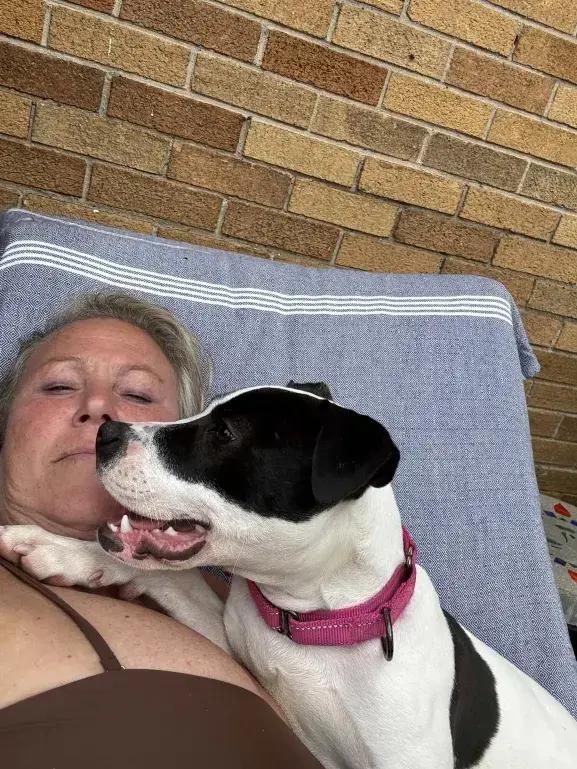 Cupcake, a Adoptable mixed breed in Grand Rapids, MI image 5/6