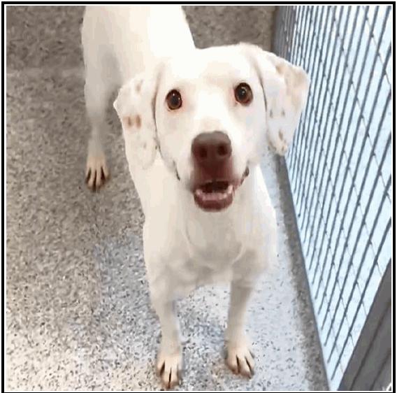 Machi — thumbnail 5