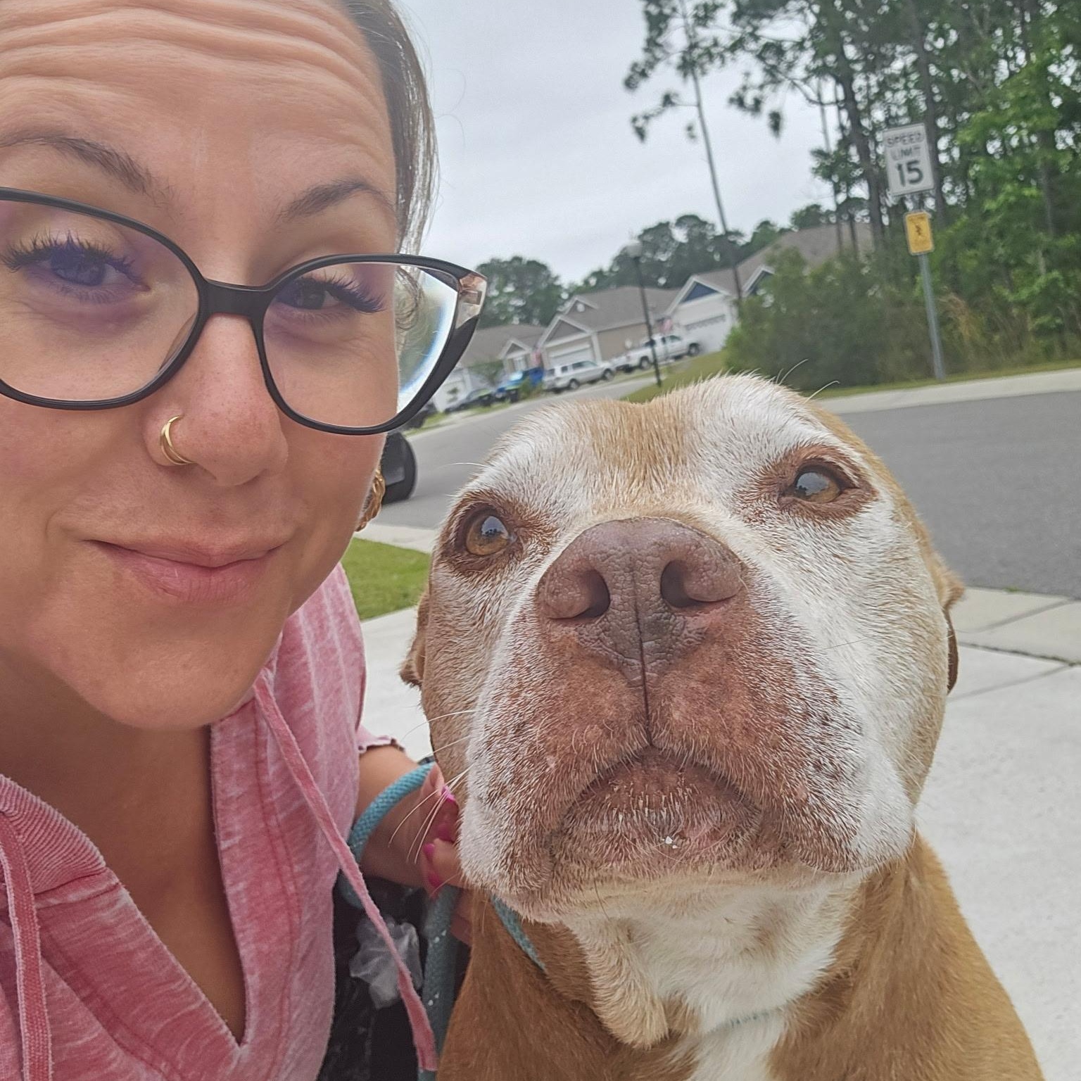 Enlarge Big B, a Adoptable mixed breed in Calabash, NC image 6/6