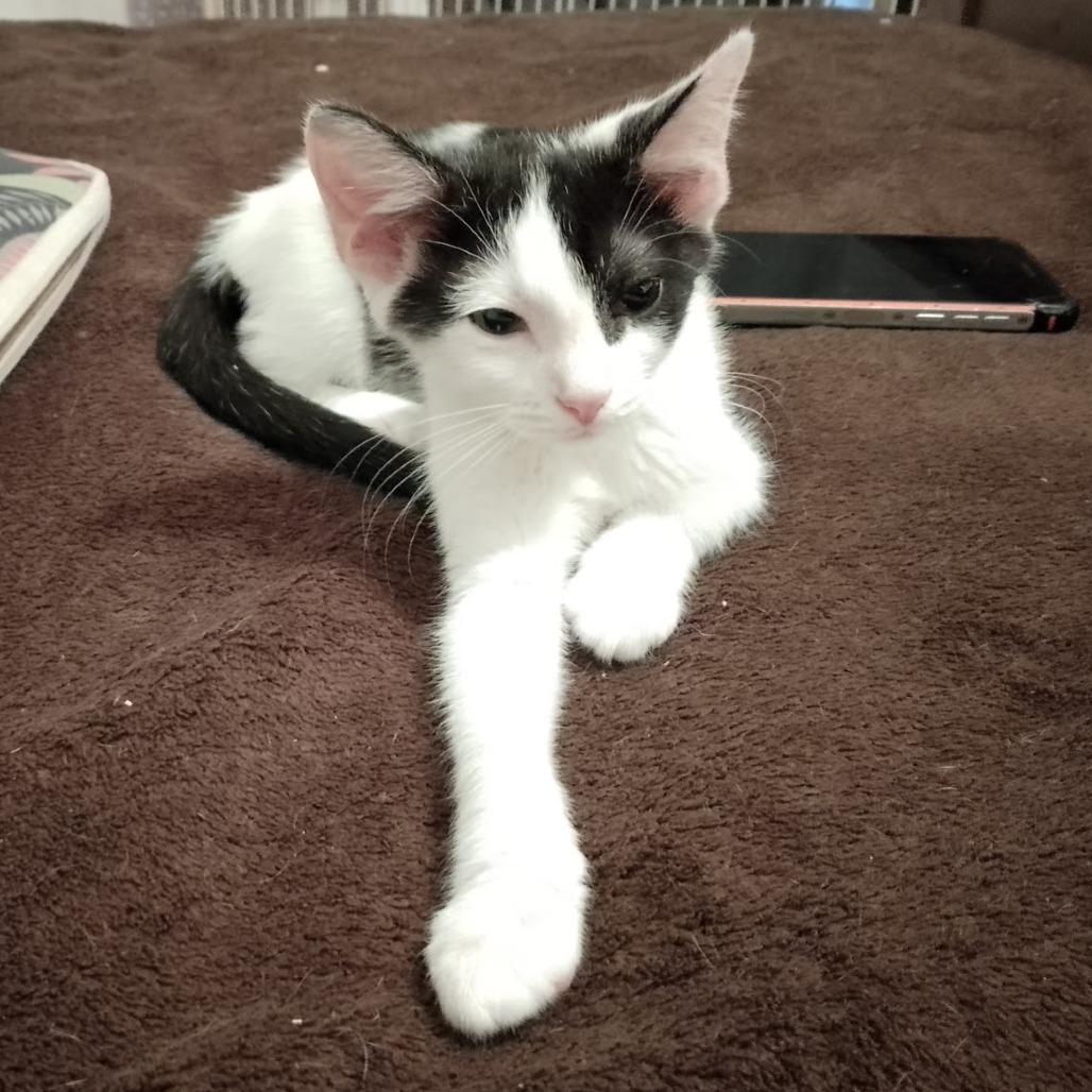 Half And Half thumbnail 2