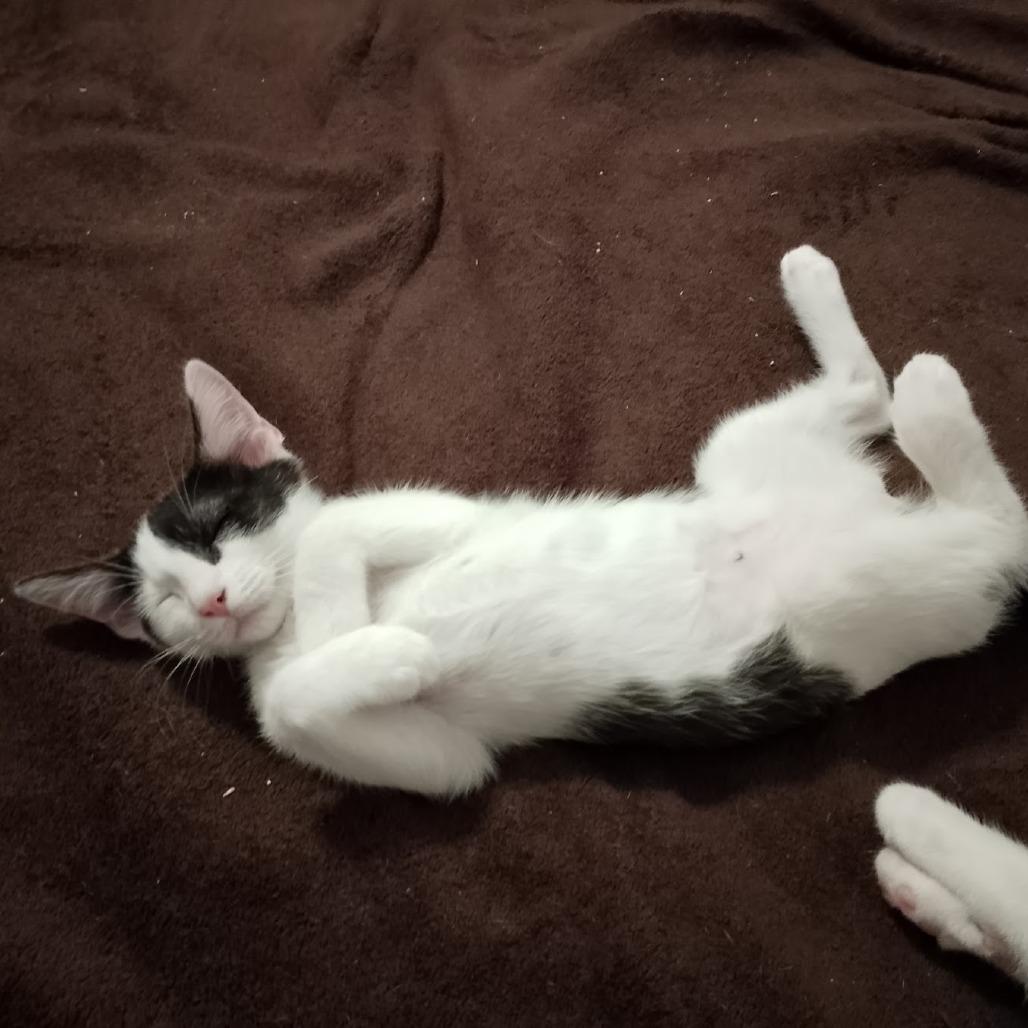 Half And Half thumbnail 3