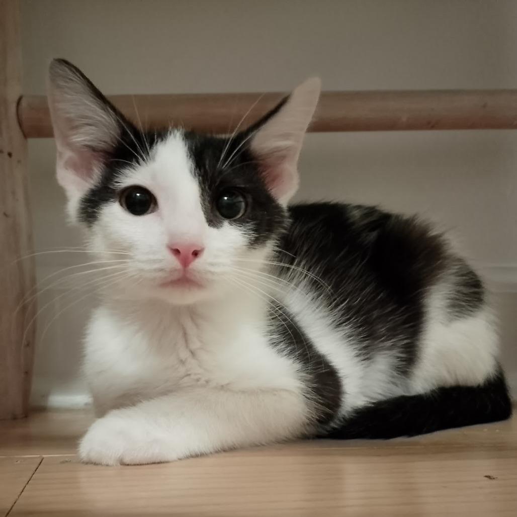 Half And Half thumbnail 4