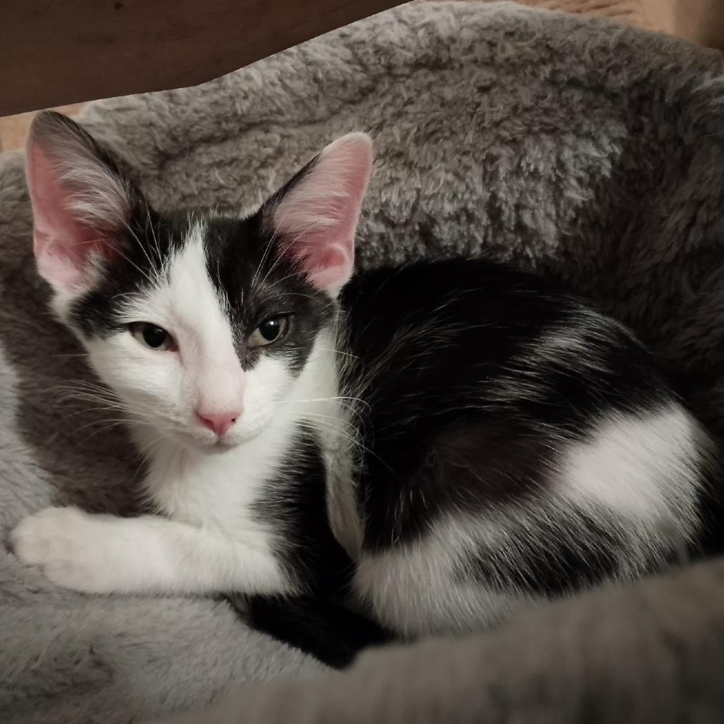 Half And Half thumbnail 6