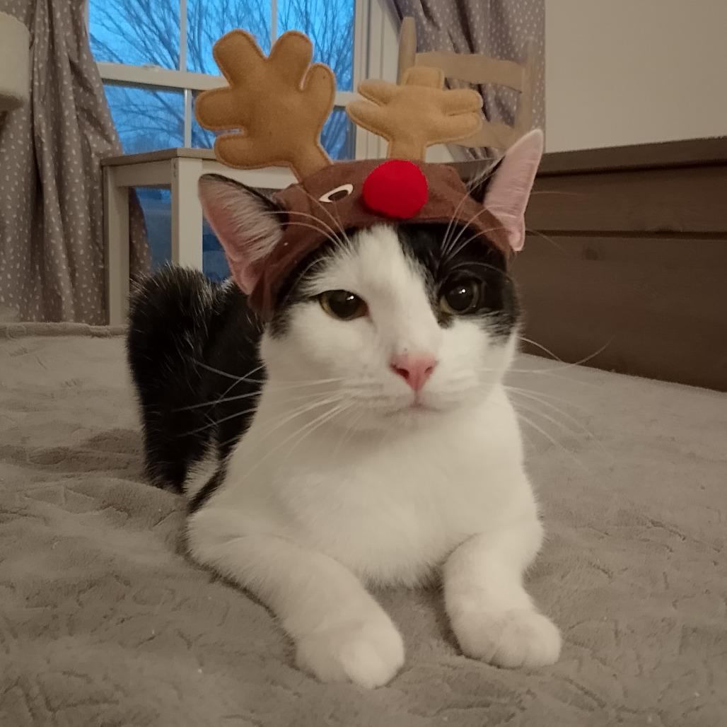 Half And Half thumbnail 7