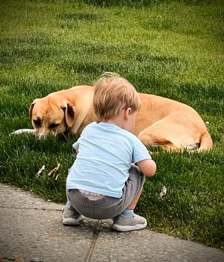 BESTEST BUDDY BRUCE photo 1