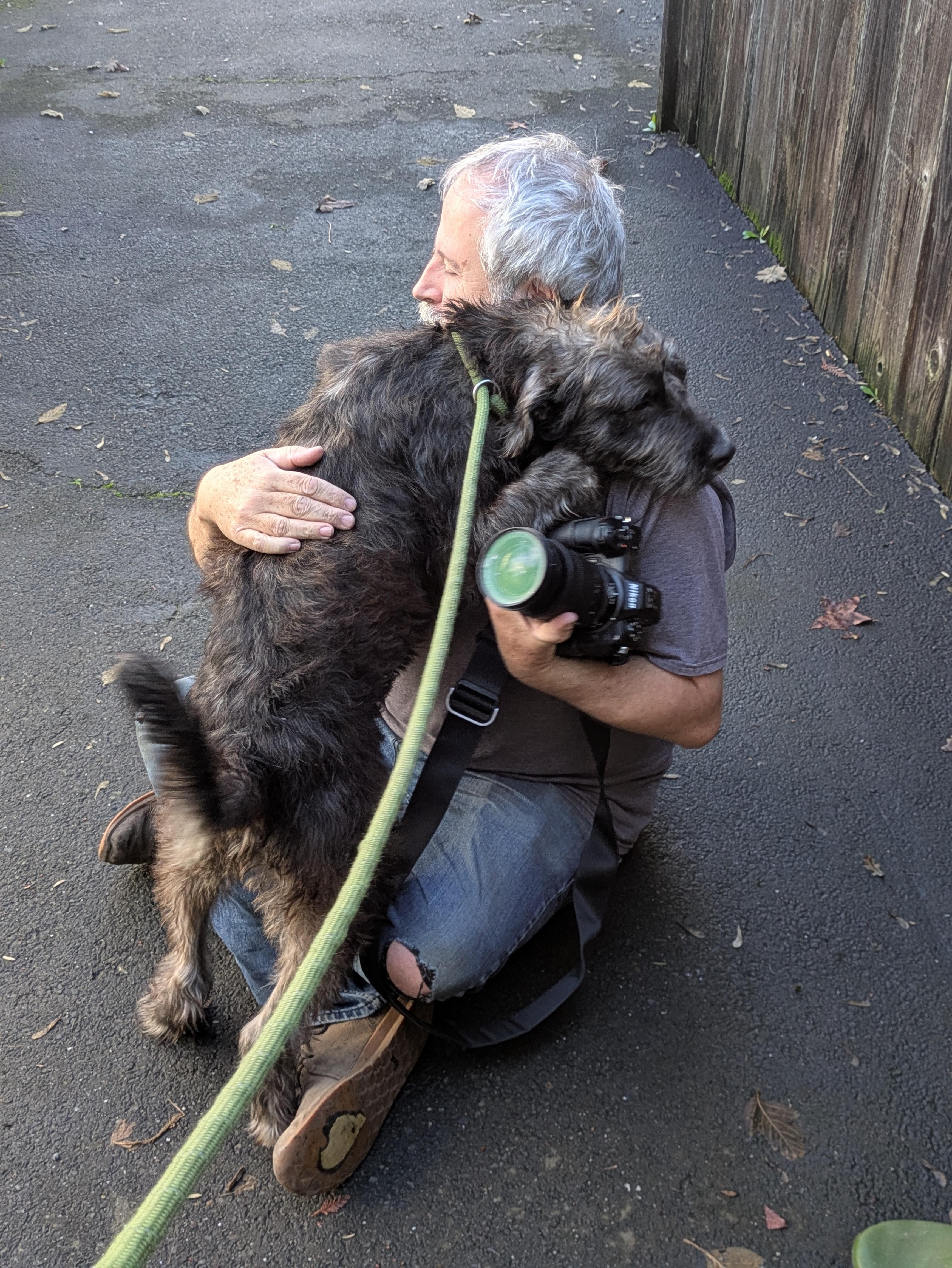 Garbanzo, an adopted mixed breed in Santa Rosa, CA image 5/6