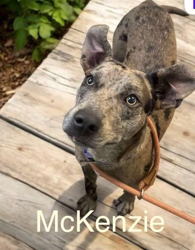 McKenzie