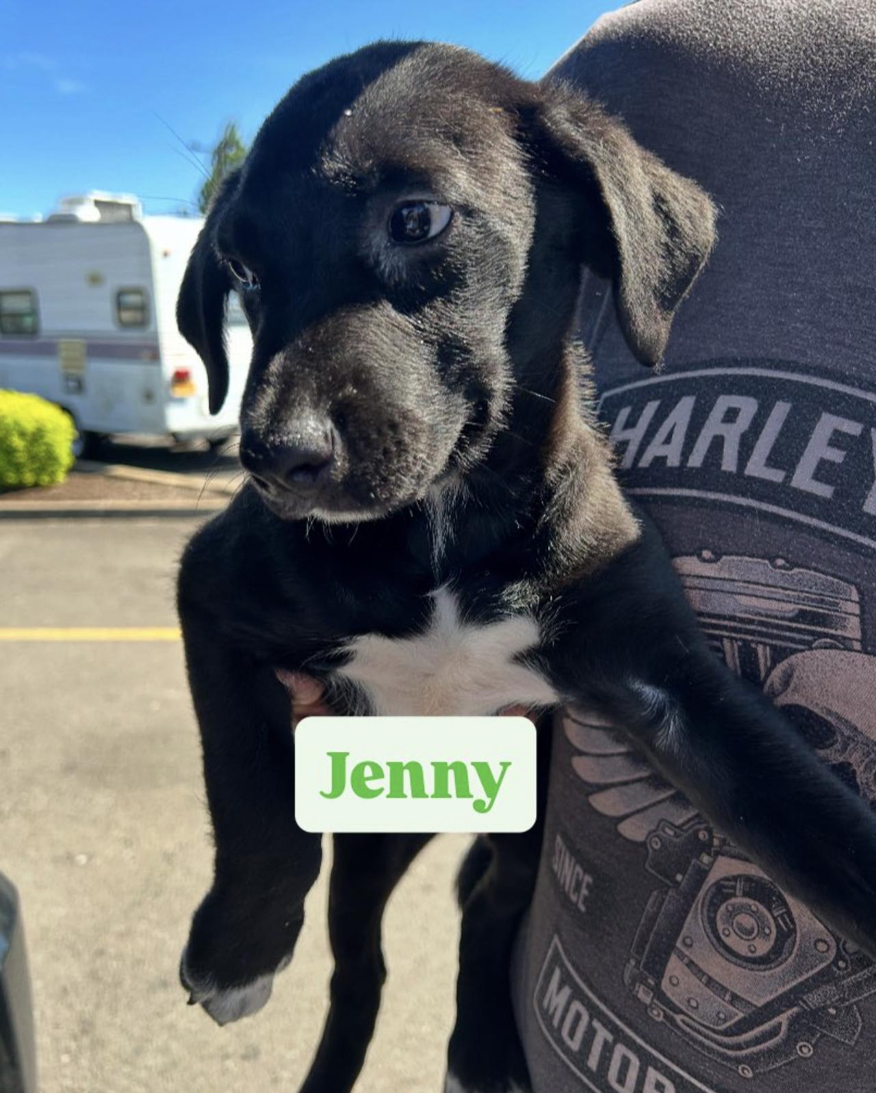 Jenny, Baby Female unknown