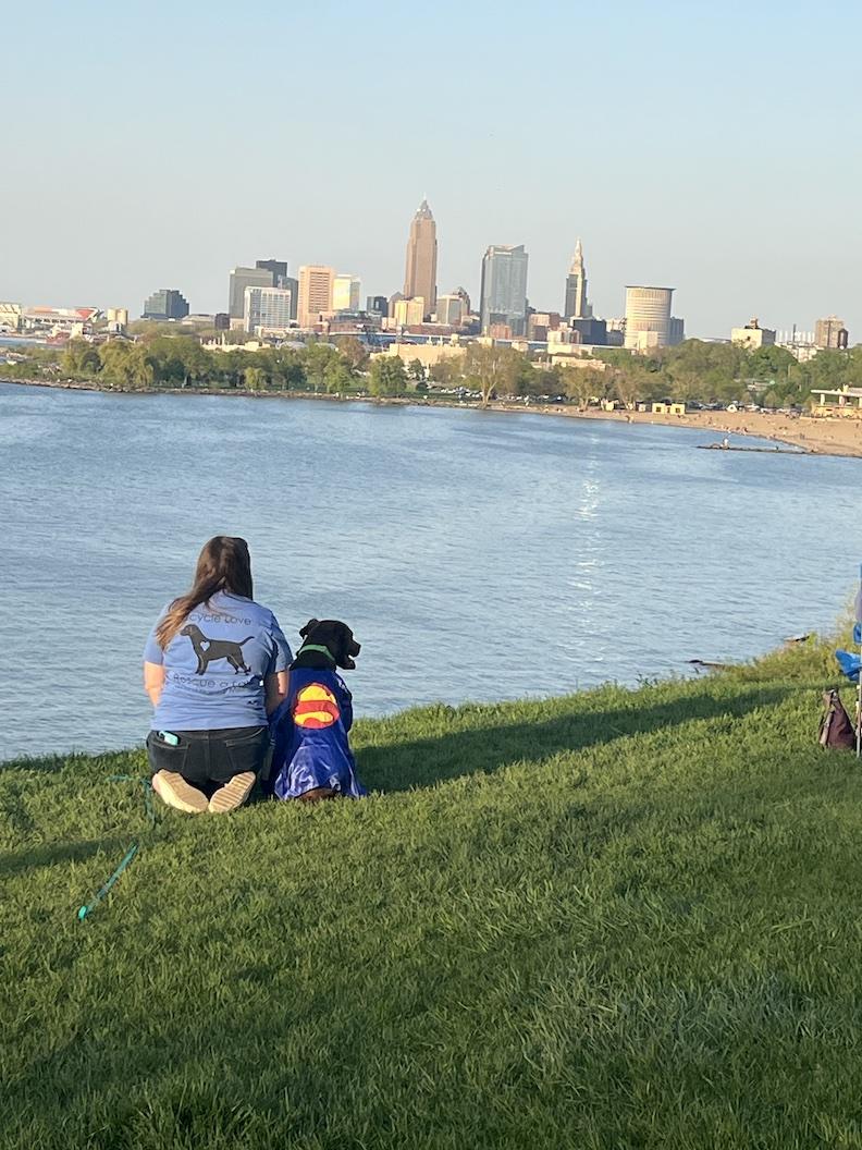 Champ, a Adoptable mixed breed in Medina, OH image 5/6