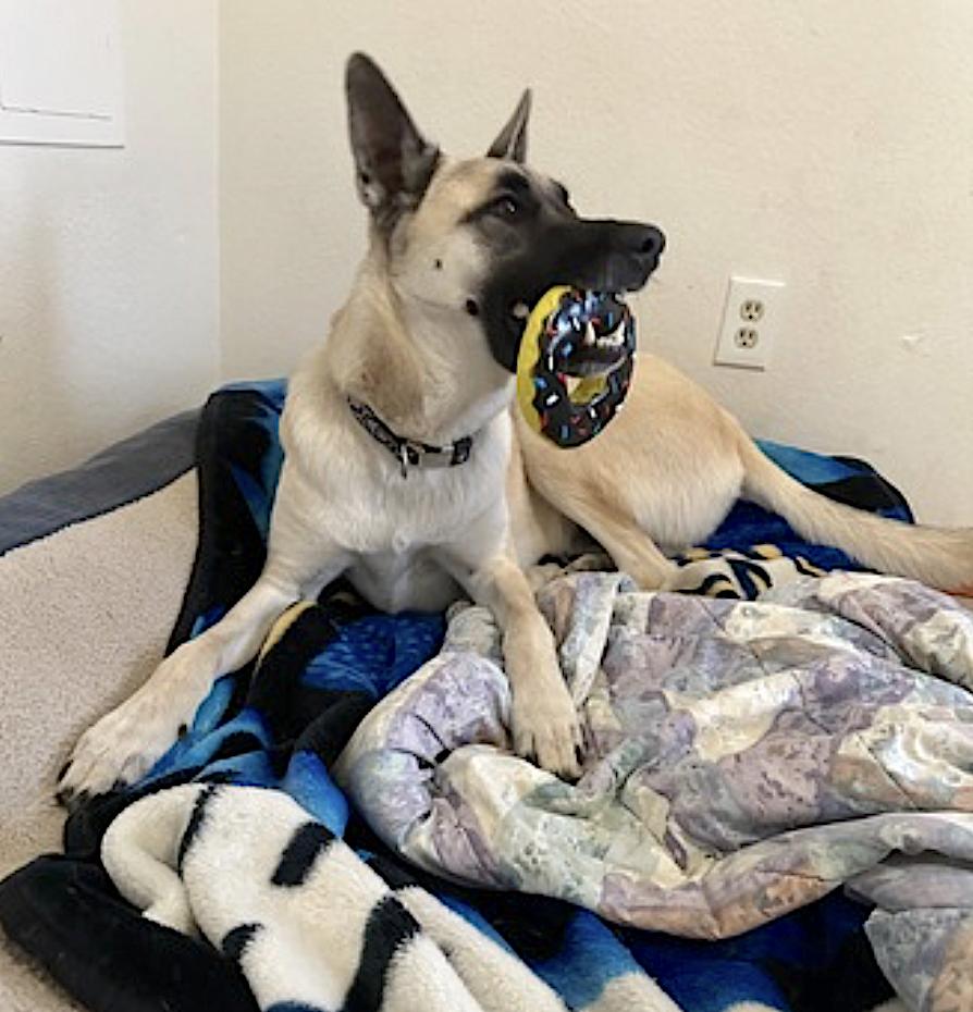 Titus — thumbnail 4