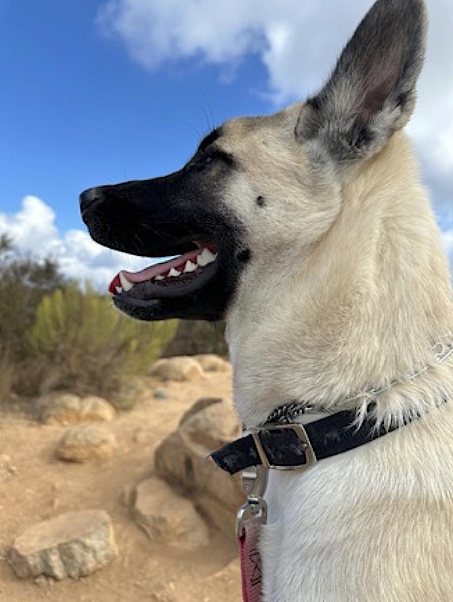 Titus — thumbnail 5