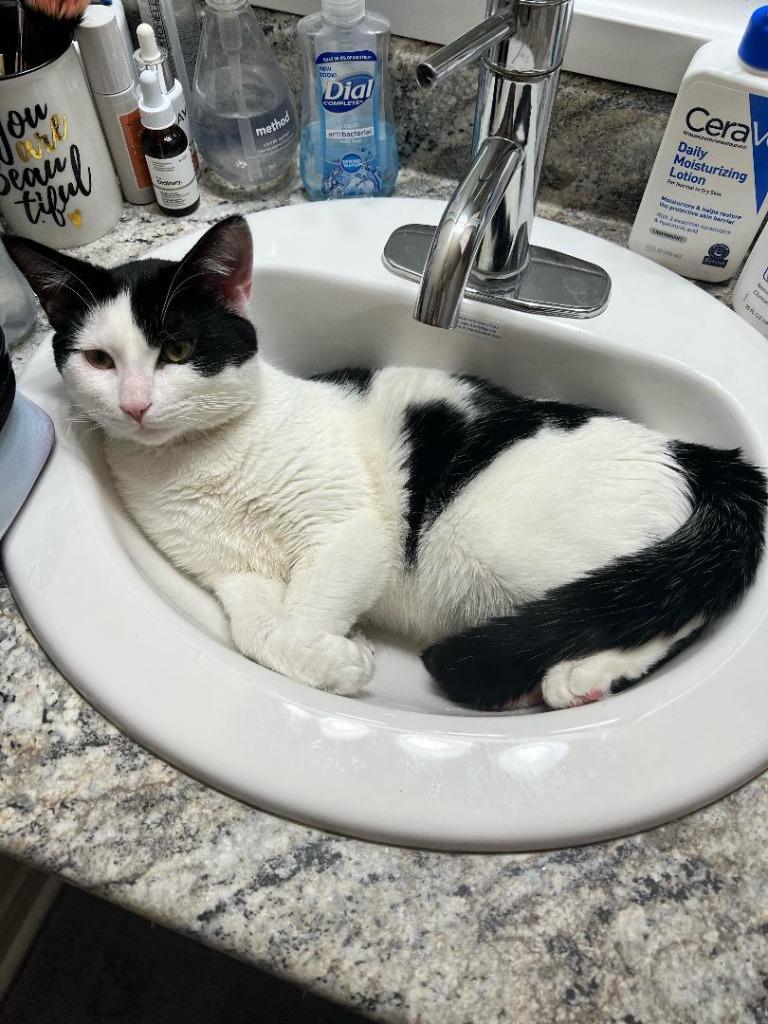 MARVIN — thumbnail 2