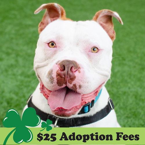 Miklo — thumbnail 3