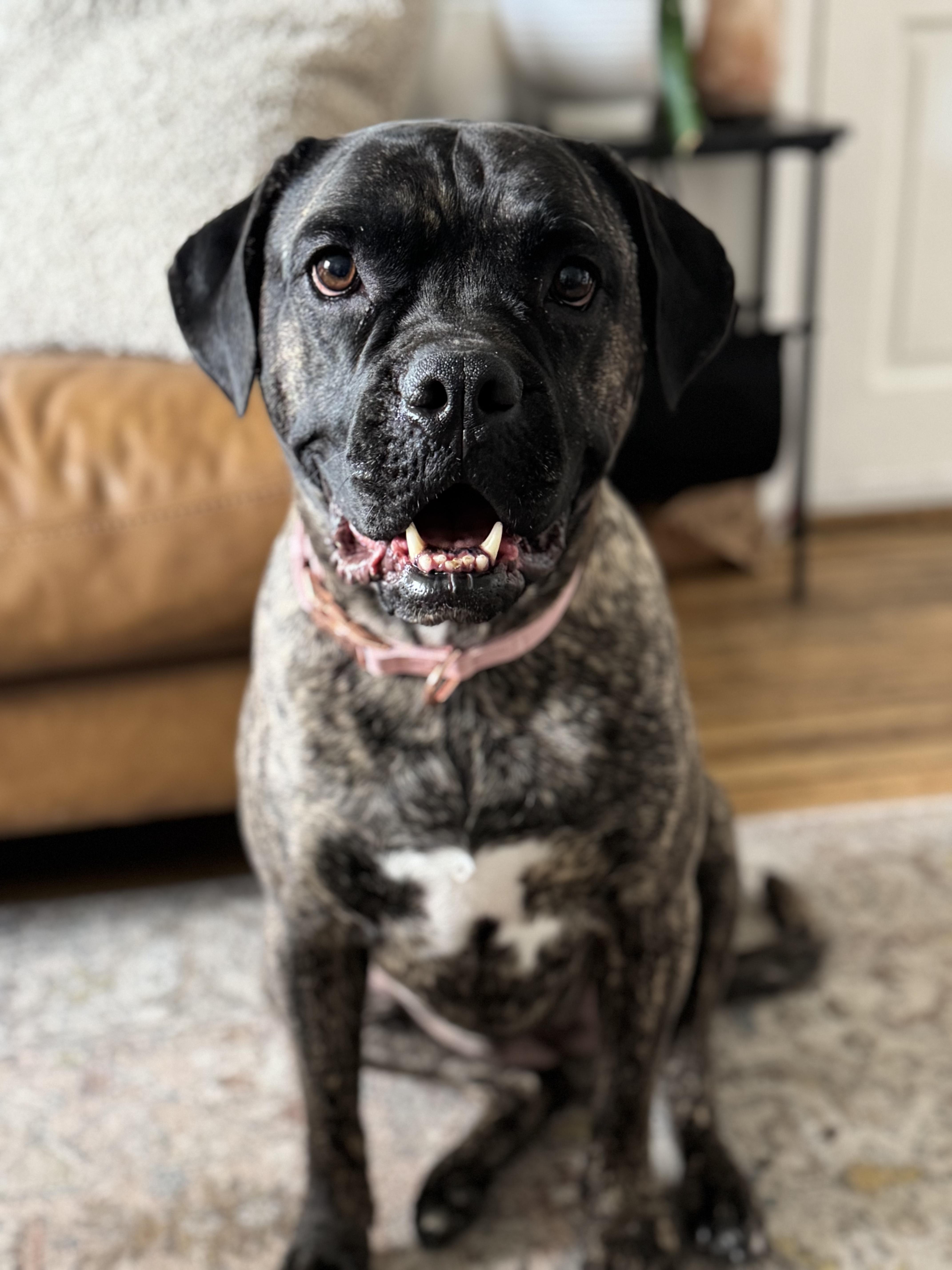Coco