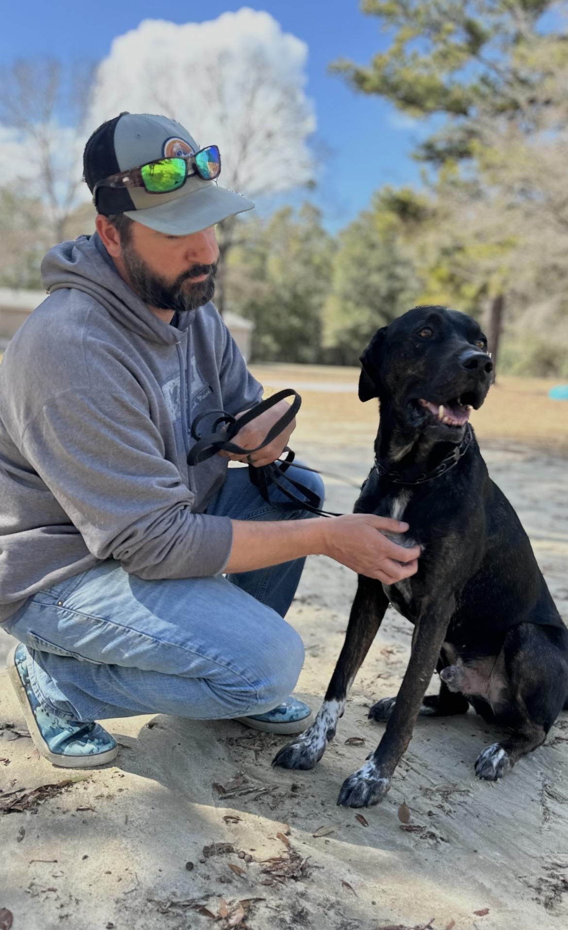 Enlarge LEO , a ADOPTABLE mixed breed in Media, PA image 6/6