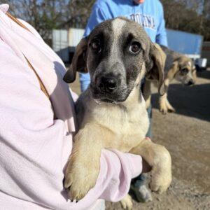 Stacy — thumbnail 2